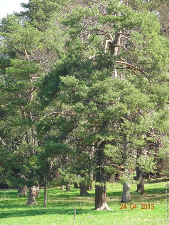 Philosophische Bildwanderung Traufgang-Schlossfelsenpfad