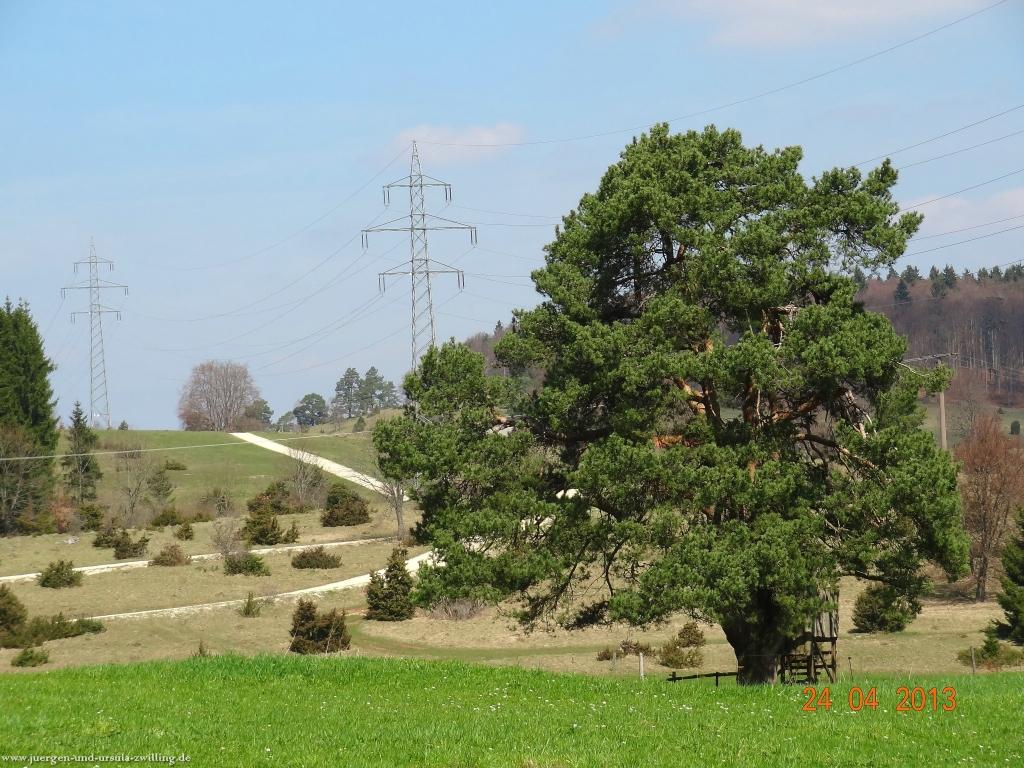 Philosophische Bildwanderung Traufgang-Schlossfelsenpfad