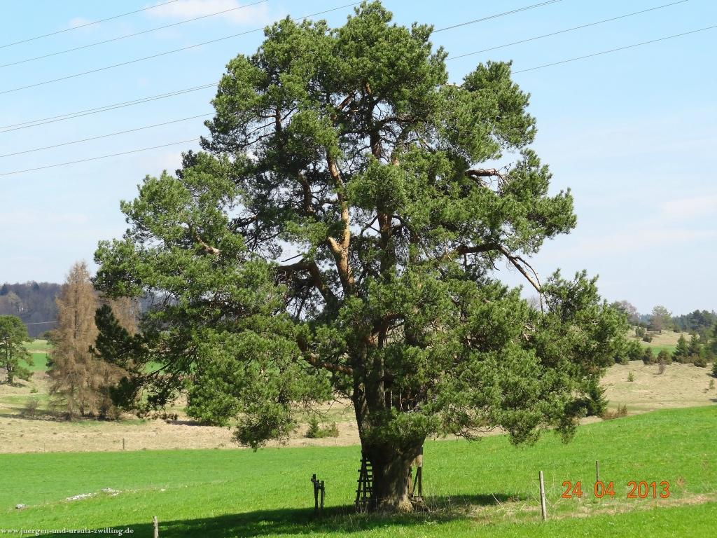 Philosophische Bildwanderung Traufgang-Schlossfelsenpfad