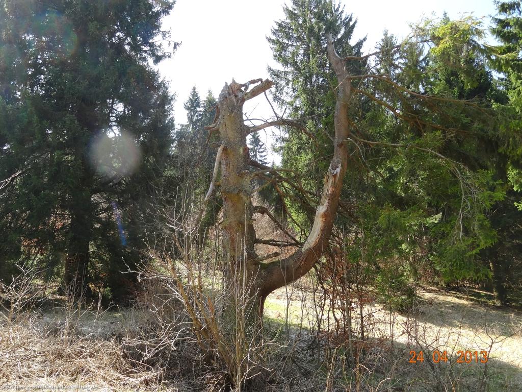 Philosophische Bildwanderung Traufgang-Schlossfelsenpfad