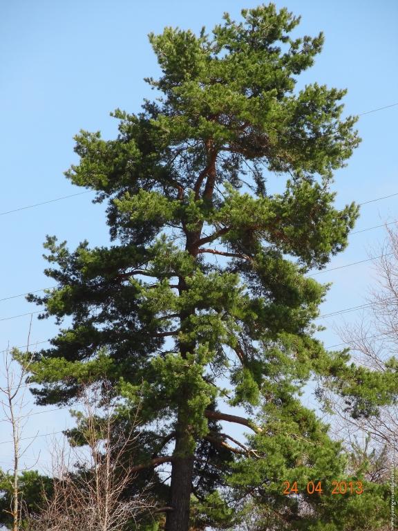 Philosophische Bildwanderung Traufgang-Schlossfelsenpfad
