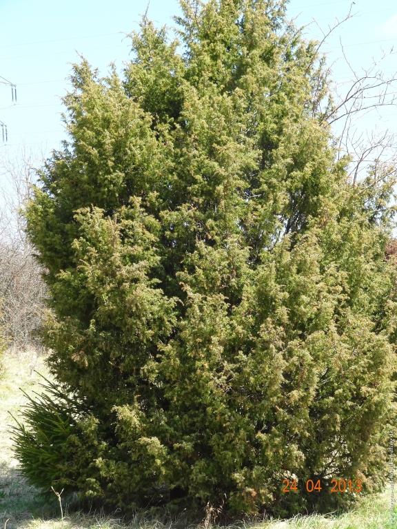 Philosophische Bildwanderung Traufgang-Schlossfelsenpfad