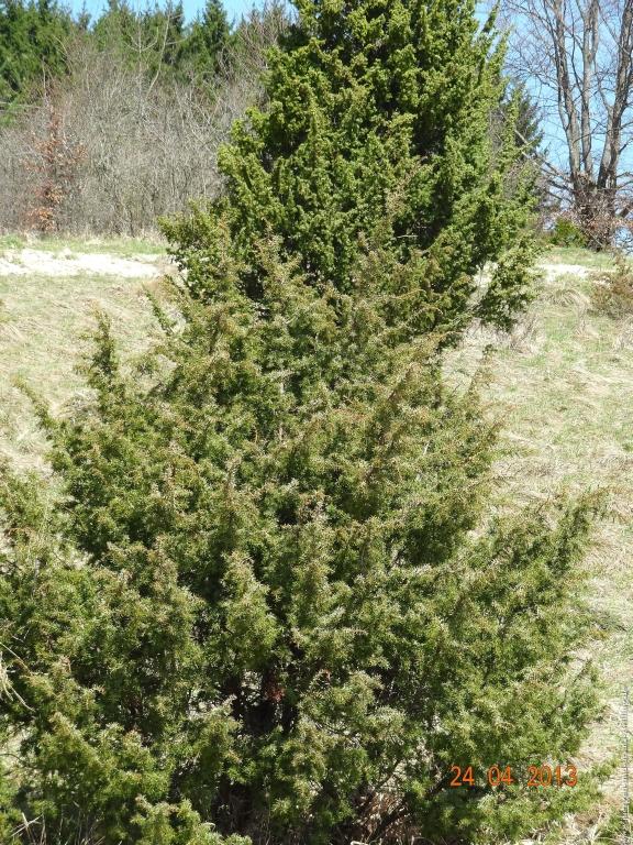 Philosophische Bildwanderung Traufgang-Schlossfelsenpfad