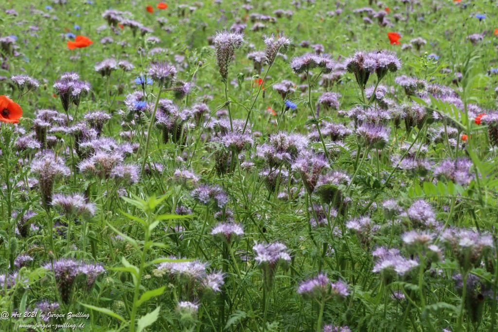Philosophische Bildwanderung von Bad Kreuznach nach Bad Münster am Stein - Nahetal - Rheinhessen