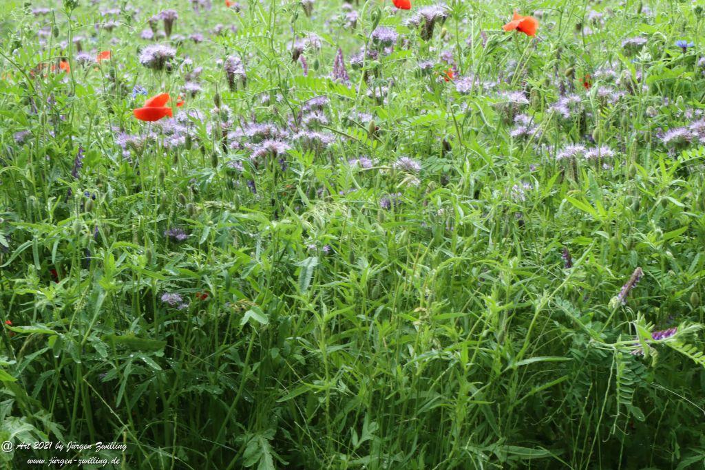 Philosophische Bildwanderung von Bad Kreuznach nach Bad Münster am Stein - Nahetal - Rheinhessen