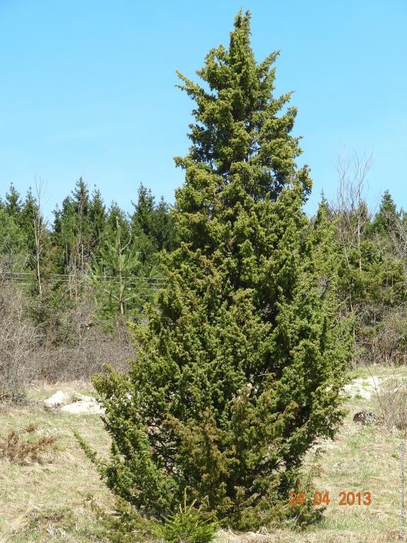 Philosophische Bildwanderung Traufgang-Schlossfelsenpfad
