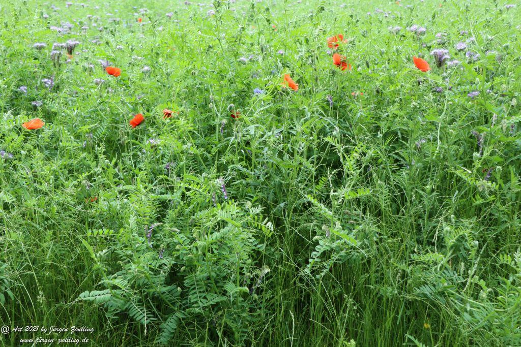 Philosophische Bildwanderung von Bad Kreuznach nach Bad Münster am Stein - Nahetal - Rheinhessen