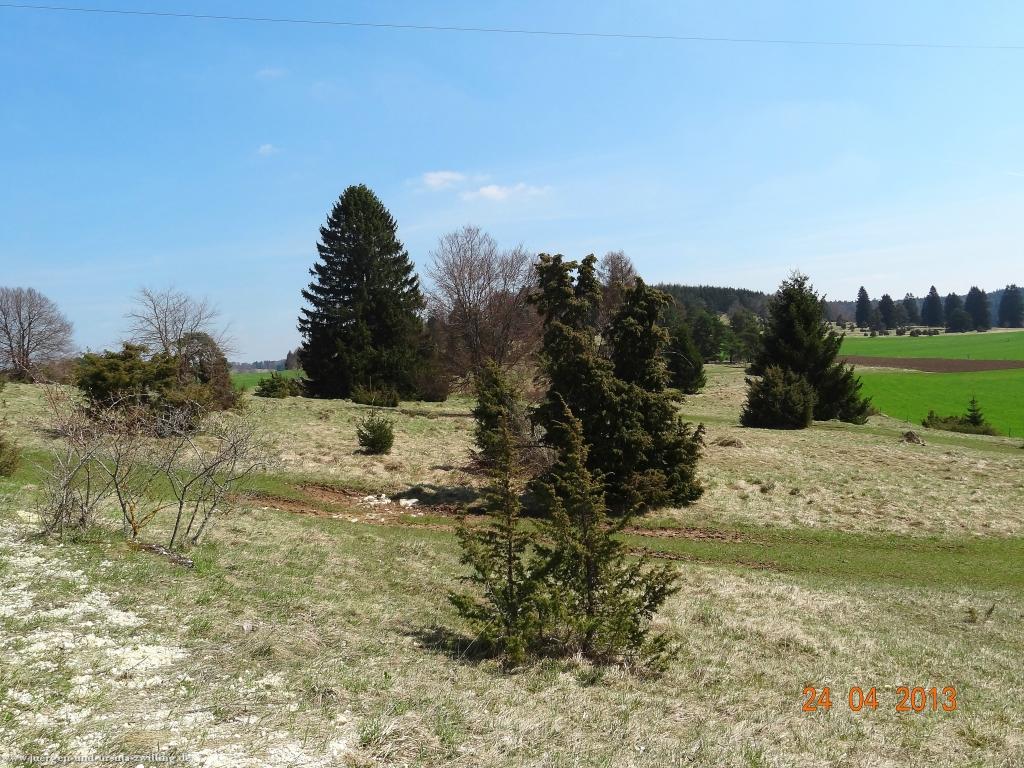 Philosophische Bildwanderung Traufgang-Schlossfelsenpfad