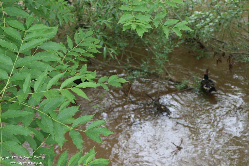 Philosophische Bildwanderung von Bad Kreuznach nach Bad Münster am Stein - Nahetal - Rheinhessen