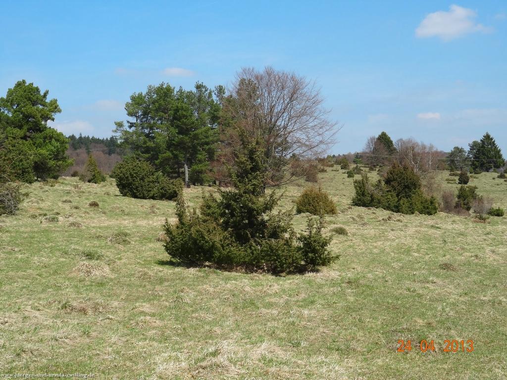 Philosophische Bildwanderung Traufgang-Schlossfelsenpfad