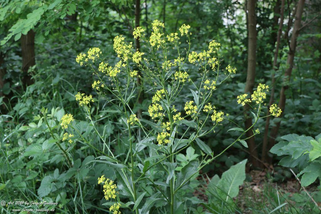 Philosophische Bildwanderung von Bad Kreuznach nach Bad Münster am Stein - Nahetal - Rheinhessen
