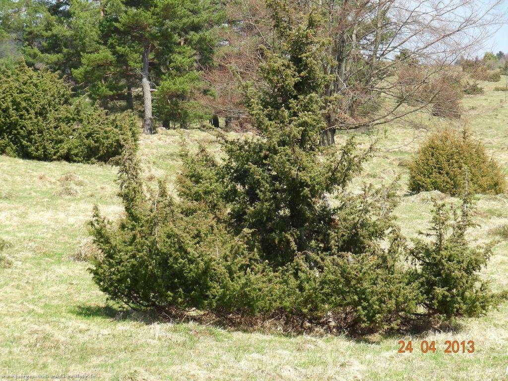 Philosophische Bildwanderung Traufgang-Schlossfelsenpfad