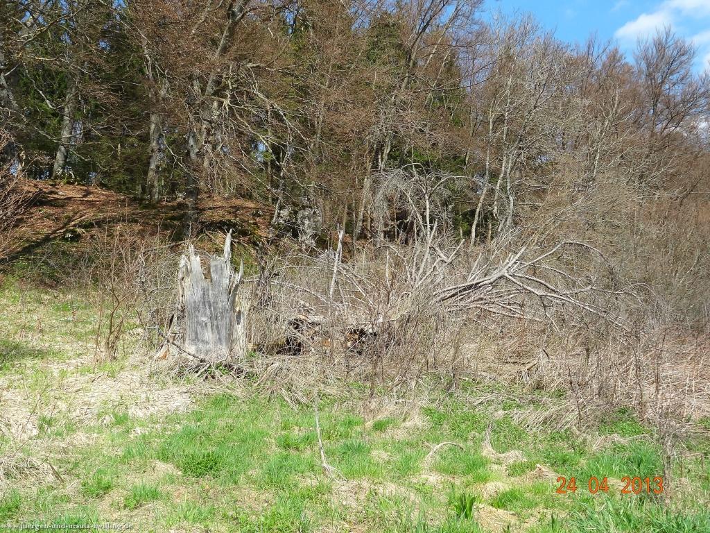 Philosophische Bildwanderung Traufgang-Schlossfelsenpfad