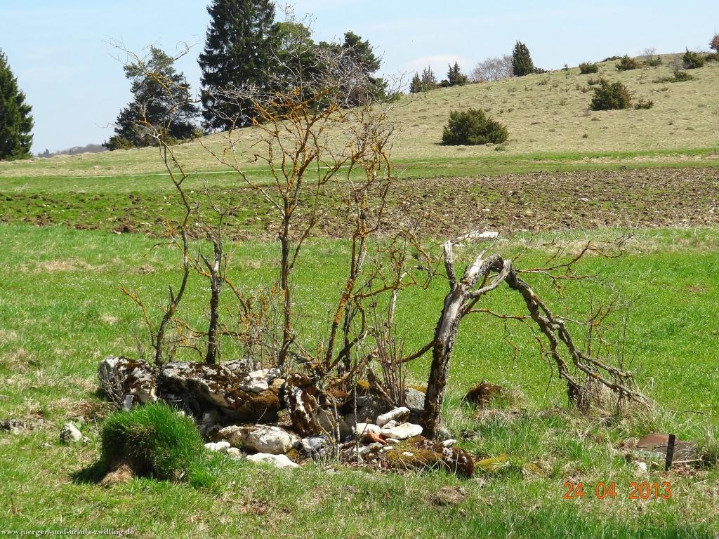 Philosophische Bildwanderung Traufgang-Schlossfelsenpfad
