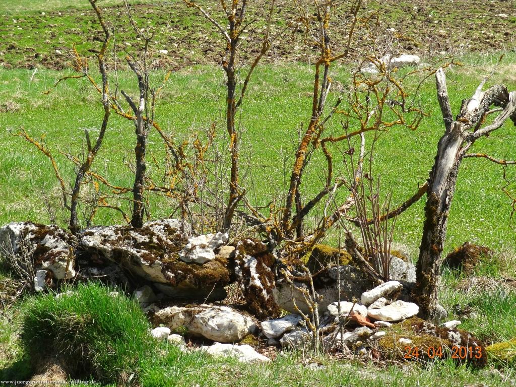 Philosophische Bildwanderung Traufgang-Schlossfelsenpfad