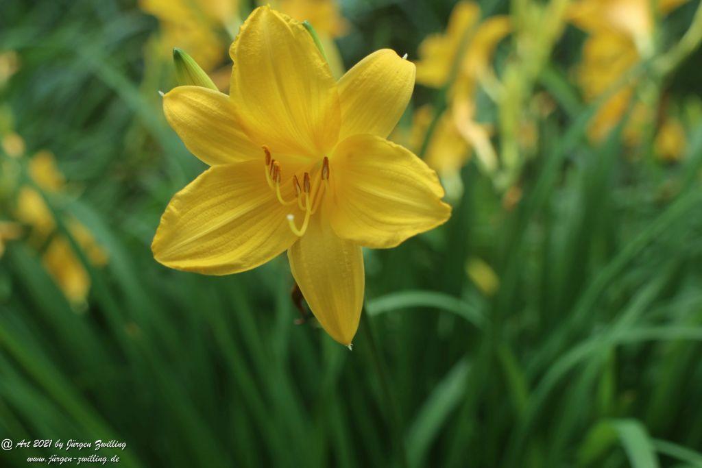 Philosophische Bildwanderung von Bad Kreuznach nach Bad Münster am Stein - Nahetal - Rheinhessen