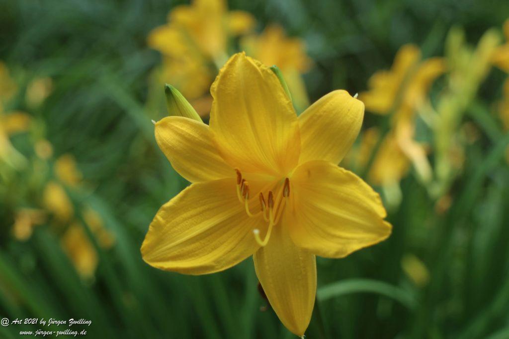 Philosophische Bildwanderung von Bad Kreuznach nach Bad Münster am Stein - Nahetal - Rheinhessen