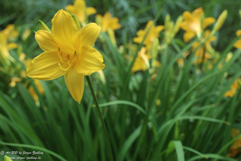Philosophische Bildwanderung von Bad Kreuznach nach Bad Münster am Stein - Nahetal - Rheinhessen