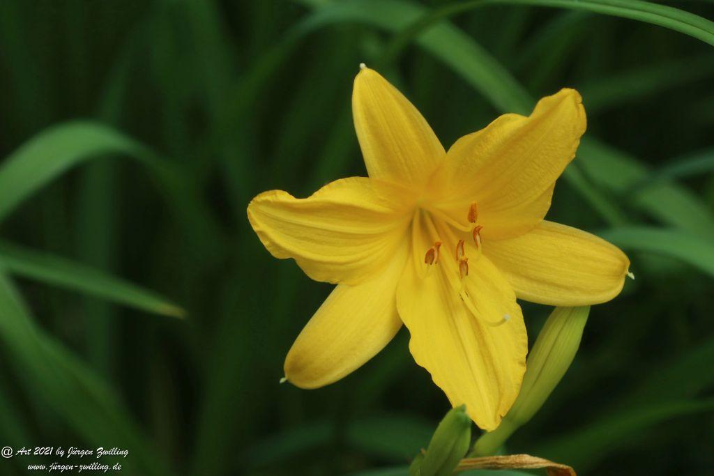 Philosophische Bildwanderung von Bad Kreuznach nach Bad Münster am Stein - Nahetal - Rheinhessen