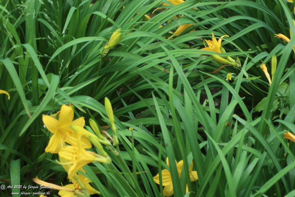 Philosophische Bildwanderung von Bad Kreuznach nach Bad Münster am Stein - Nahetal - Rheinhessen
