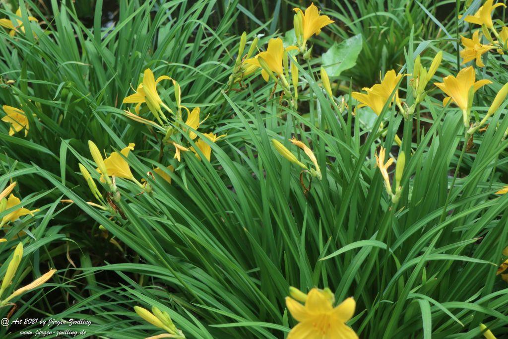 Philosophische Bildwanderung von Bad Kreuznach nach Bad Münster am Stein - Nahetal - Rheinhessen