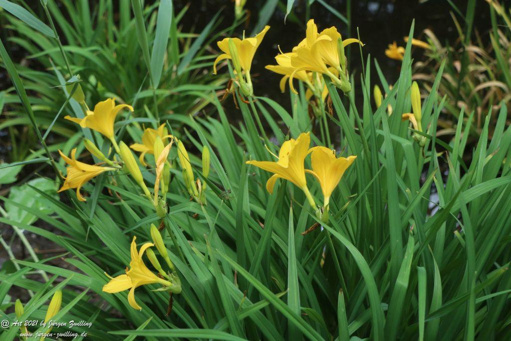 Philosophische Bildwanderung von Bad Kreuznach nach Bad Münster am Stein - Nahetal - Rheinhessen
