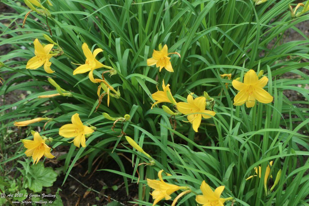 Philosophische Bildwanderung von Bad Kreuznach nach Bad Münster am Stein - Nahetal - Rheinhessen