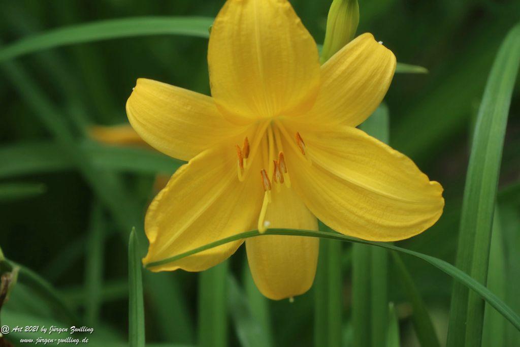 Philosophische Bildwanderung von Bad Kreuznach nach Bad Münster am Stein - Nahetal - Rheinhessen