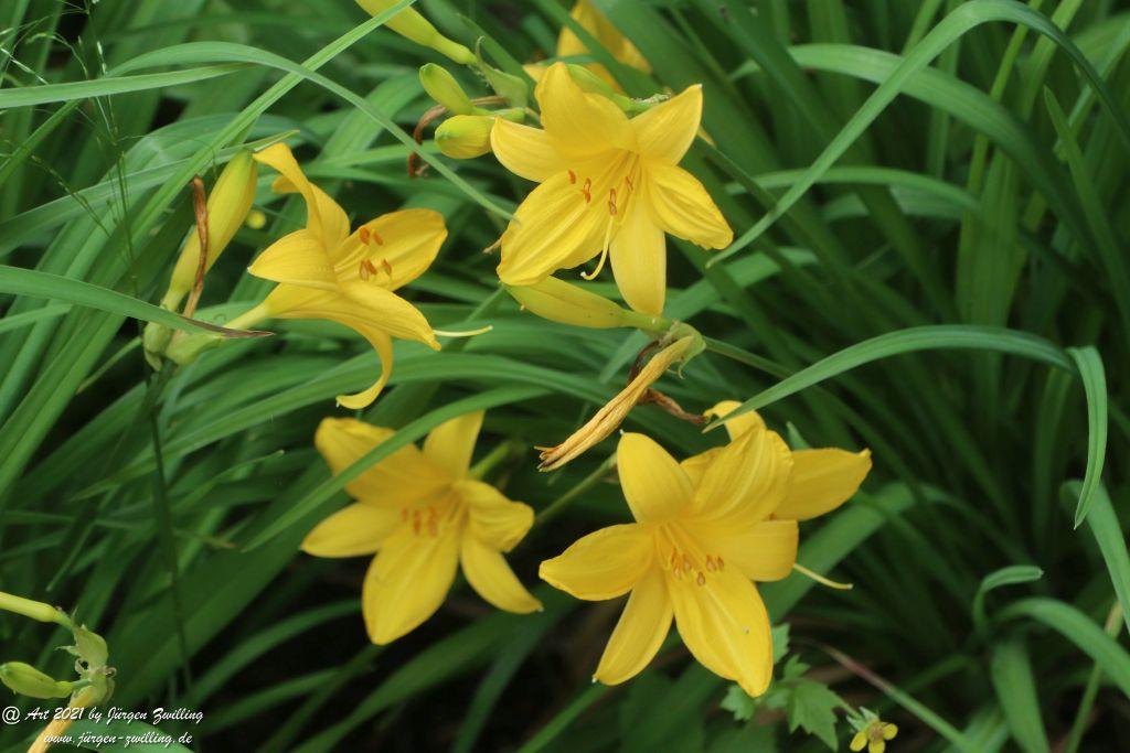 Philosophische Bildwanderung von Bad Kreuznach nach Bad Münster am Stein - Nahetal - Rheinhessen