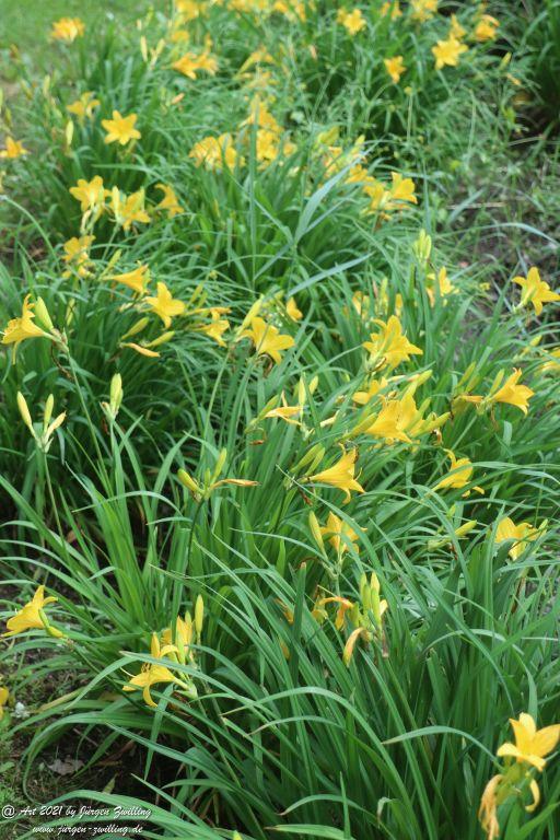 Philosophische Bildwanderung von Bad Kreuznach nach Bad Münster am Stein - Nahetal - Rheinhessen