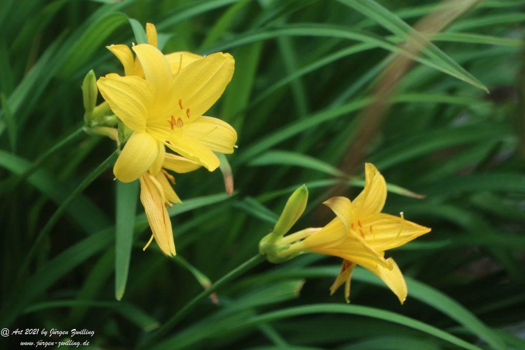 Philosophische Bildwanderung von Bad Kreuznach nach Bad Münster am Stein - Nahetal - Rheinhessen