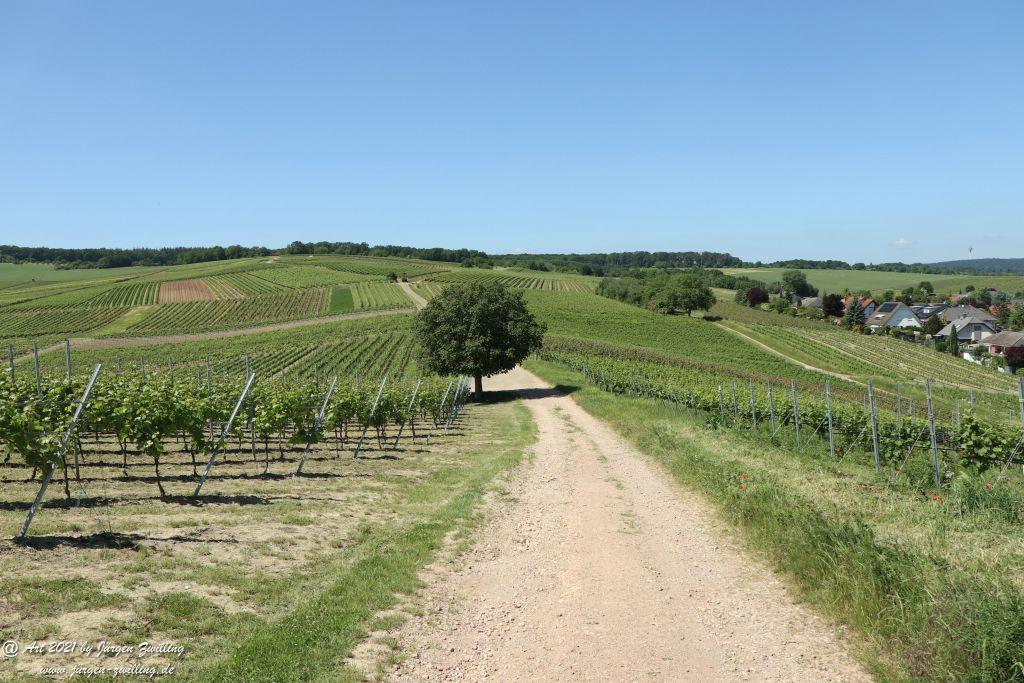 Kirchberg in Hackenheim zum Gasthaus Spreitel und zurück