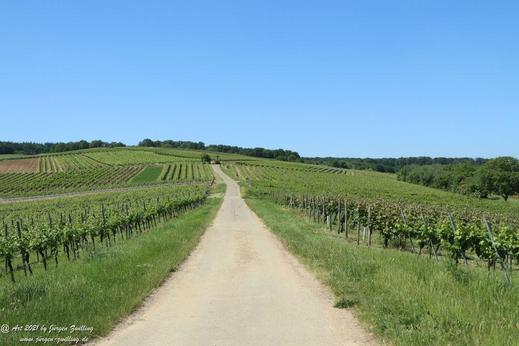 Kirchberg in Hackenheim zum Gasthaus Spreitel und zurück