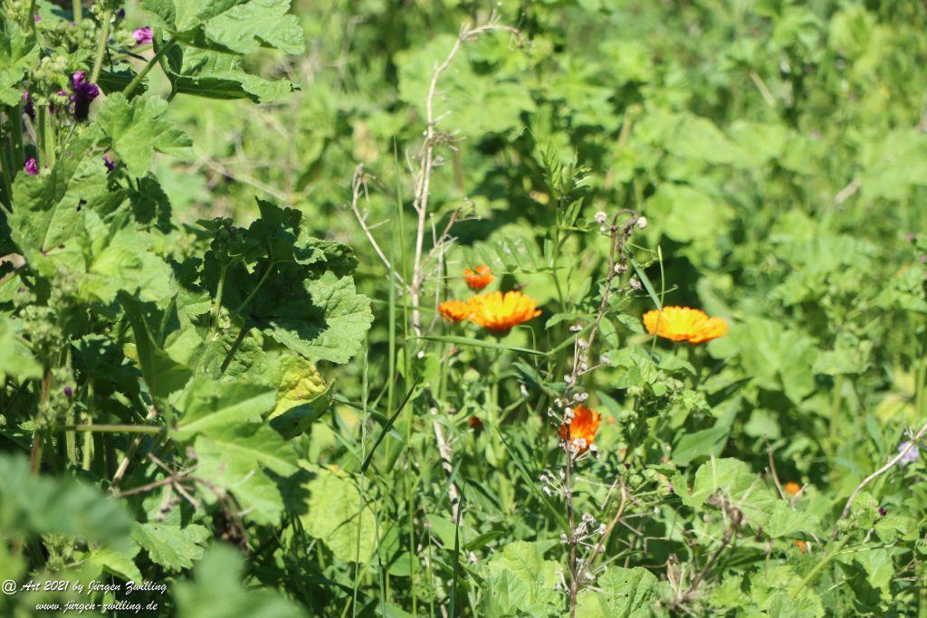 Kirchberg in Hackenheim zum Gasthaus Spreitel und zurück