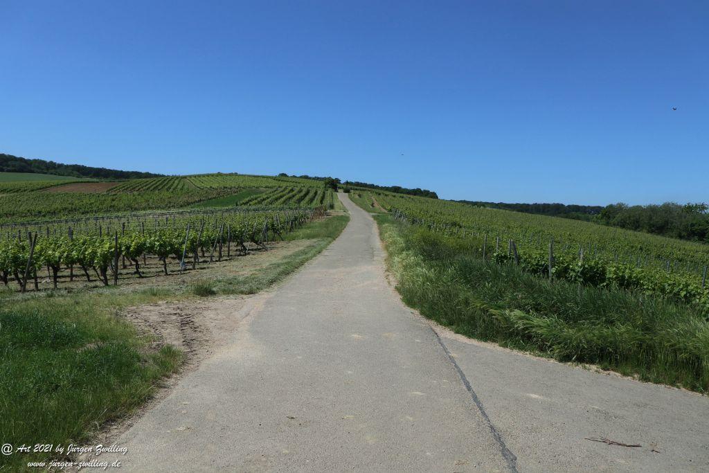 Kirchberg in Hackenheim zum Gasthaus Spreitel und zurück