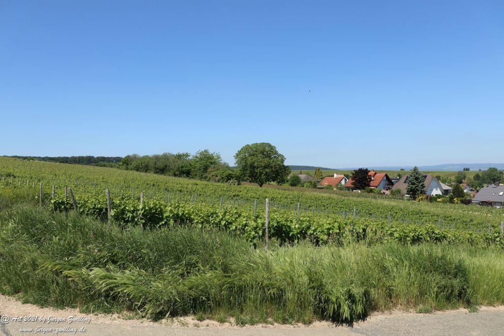 Kirchberg in Hackenheim zum Gasthaus Spreitel und zurück