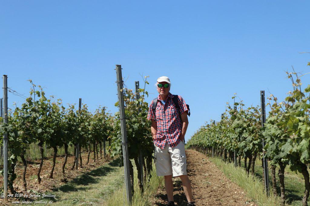Kirchberg in Hackenheim zum Gasthaus Spreitel und zurück