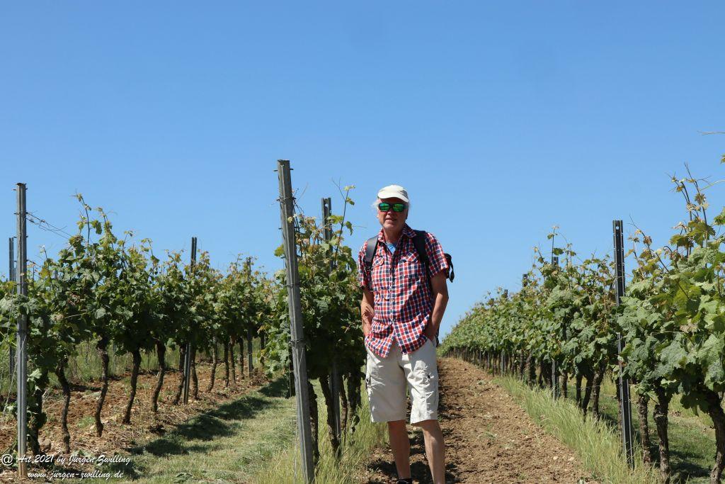 Kirchberg in Hackenheim zum Gasthaus Spreitel und zurück