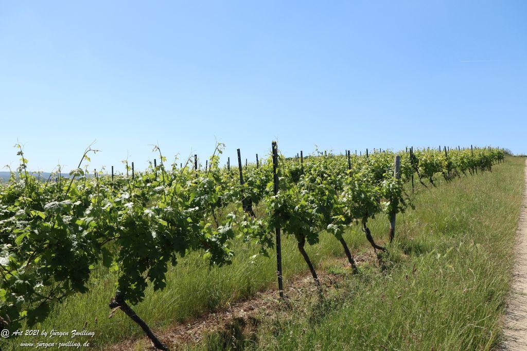 Kirchberg in Hackenheim zum Gasthaus Spreitel und zurück