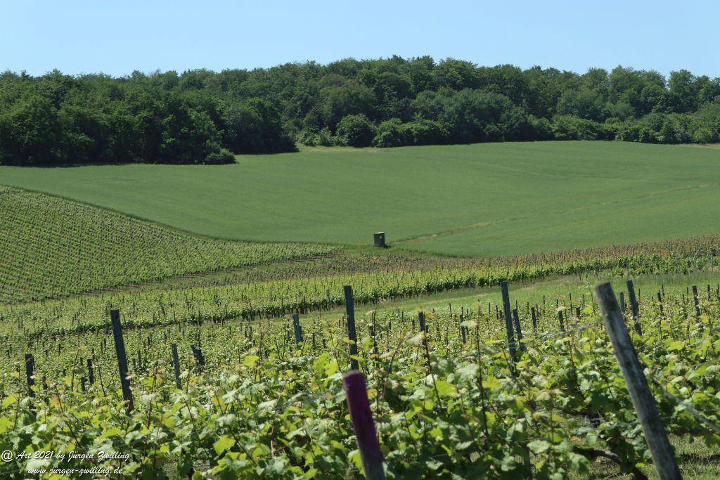 Kirchberg in Hackenheim zum Gasthaus Spreitel und zurück