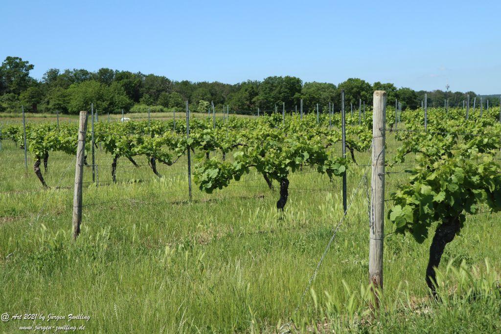 Kirchberg in Hackenheim zum Gasthaus Spreitel und zurück