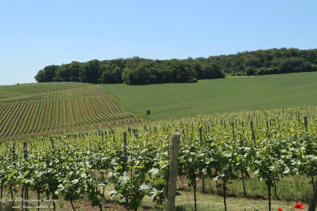 Kirchberg in Hackenheim zum Gasthaus Spreitel und zurück