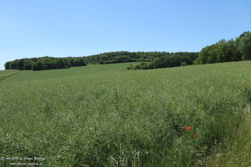 Kirchberg in Hackenheim zum Gasthaus Spreitel und zurück