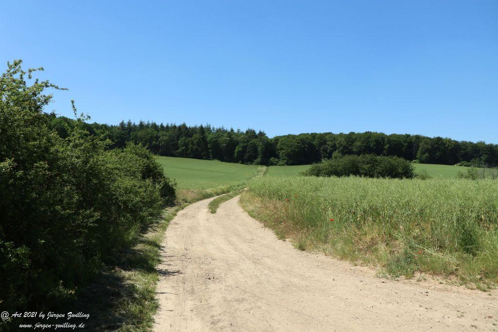 Kirchberg in Hackenheim zum Gasthaus Spreitel und zurück