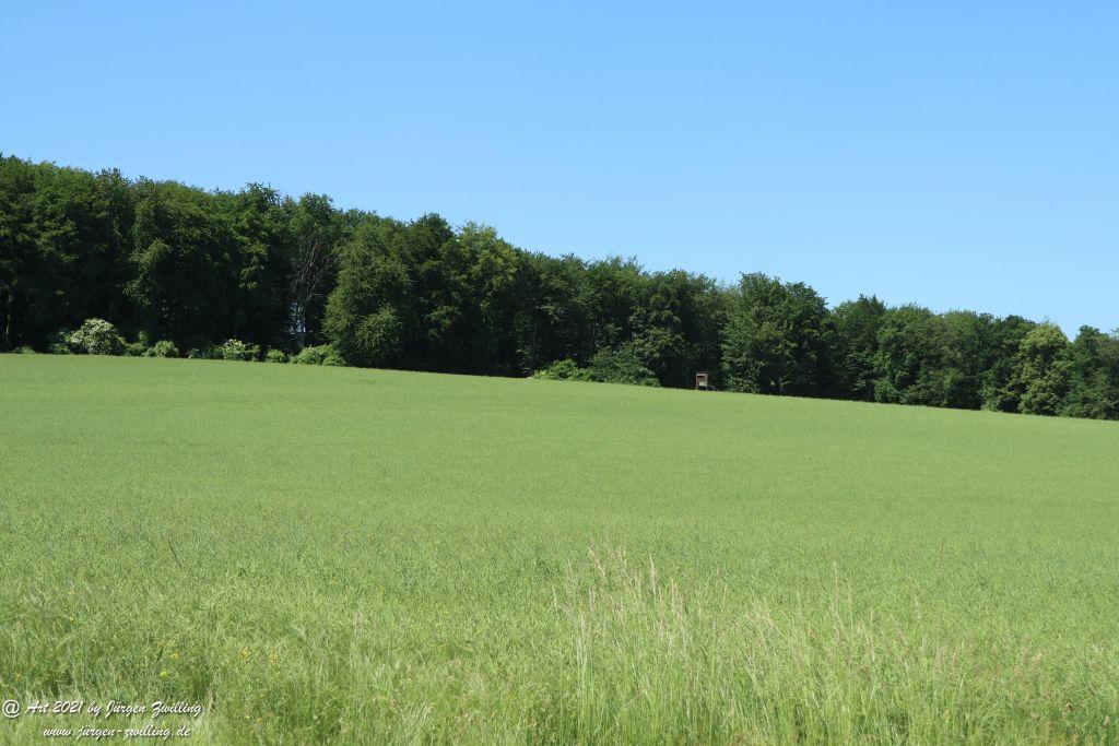 Kirchberg in Hackenheim zum Gasthaus Spreitel und zurück