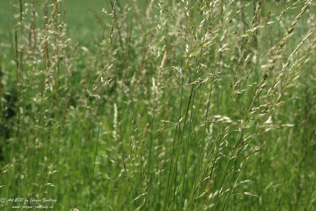 Kirchberg in Hackenheim zum Gasthaus Spreitel und zurück