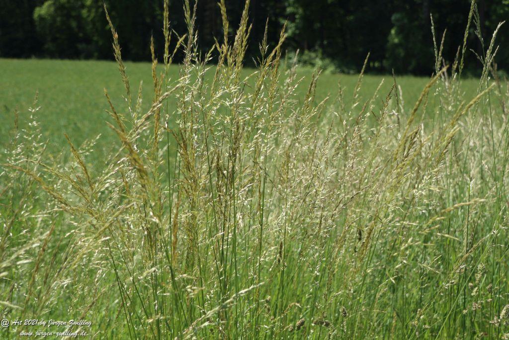 Kirchberg in Hackenheim zum Gasthaus Spreitel und zurück