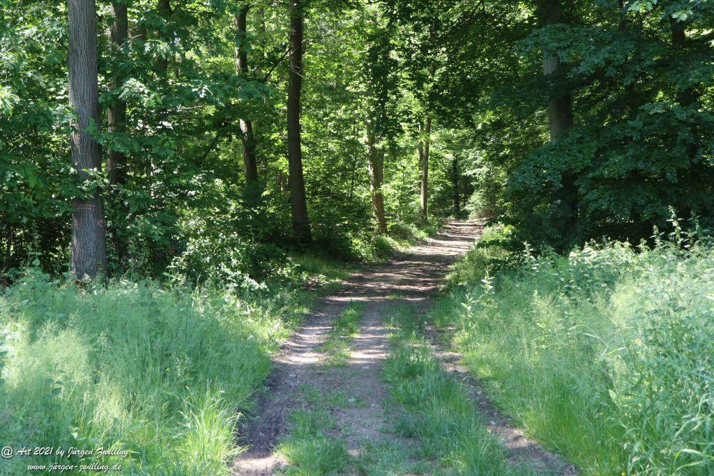 Kirchberg in Hackenheim zum Gasthaus Spreitel und zurück