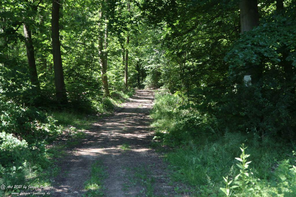 Kirchberg in Hackenheim zum Gasthaus Spreitel und zurück