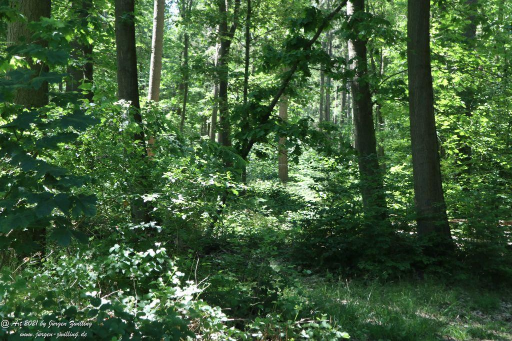 Kirchberg in Hackenheim zum Gasthaus Spreitel und zurück